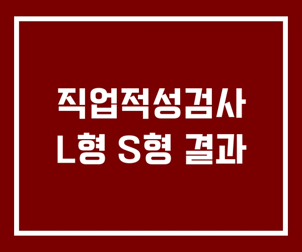 직업적성검사 L형 S형 결과