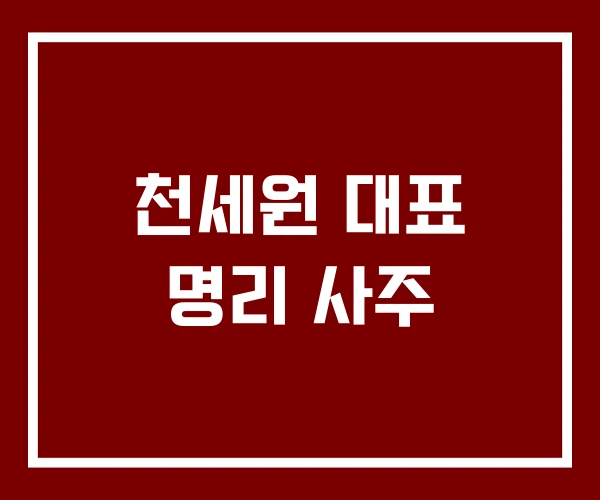 천세원 대표 명리 사주