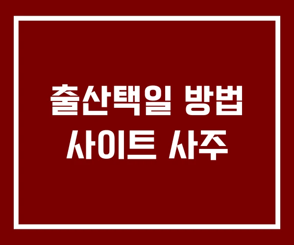 출산택일 방법 사이트 사주