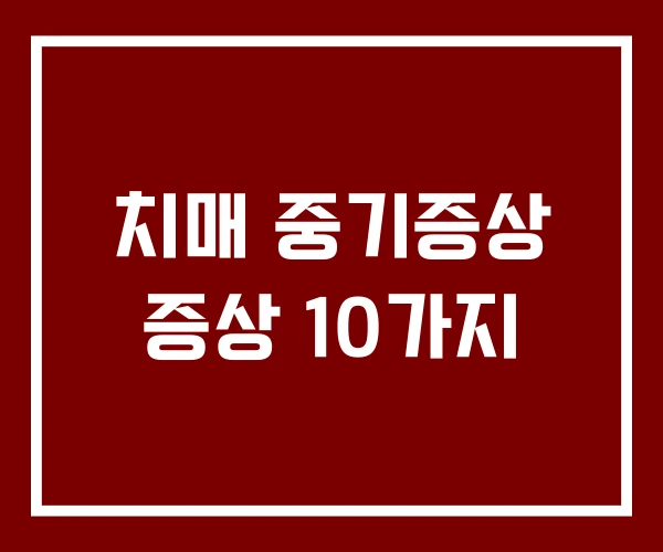 치매 중기증상 증상 10가지