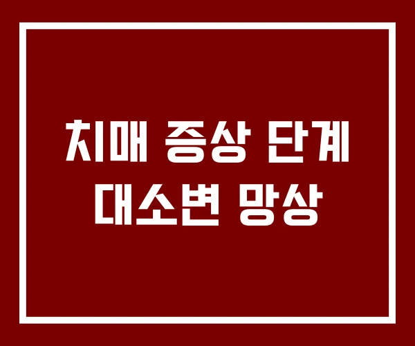 치매 증상 단계 대소변 망상