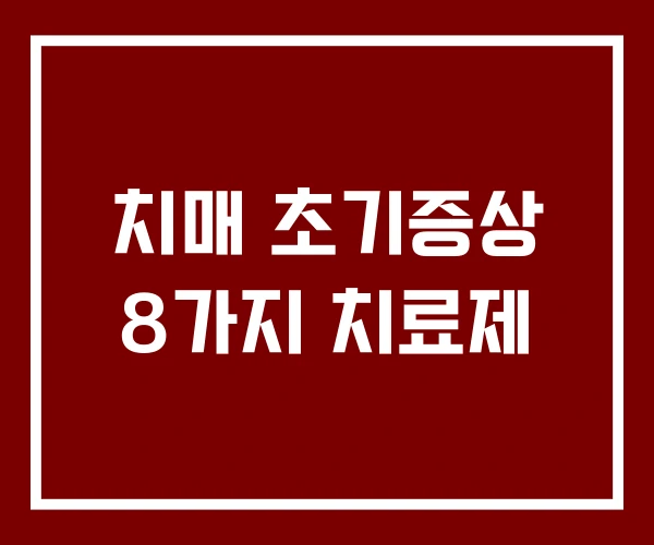 치매 초기증상 8가지 치료제