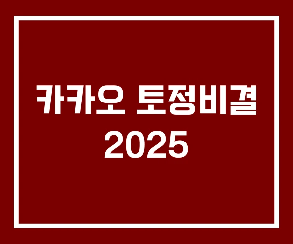 카카오 토정비결 2025