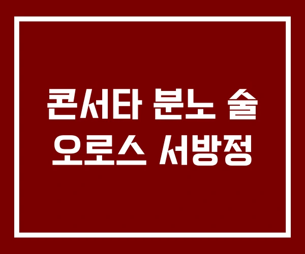 콘서타 분노 술 오로스 서방정