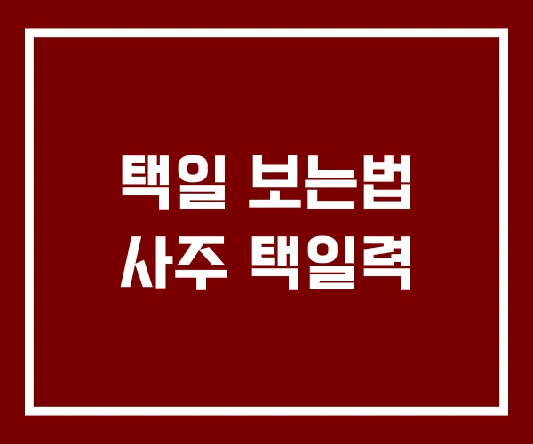 택일 보는법 사주 택일력