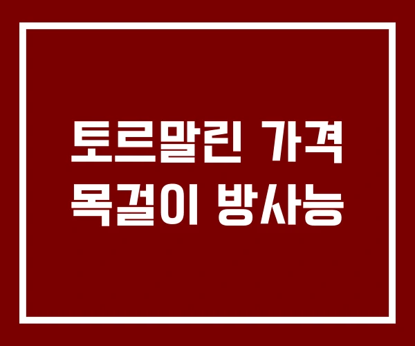 토르말린 가격 목걸이 방사능