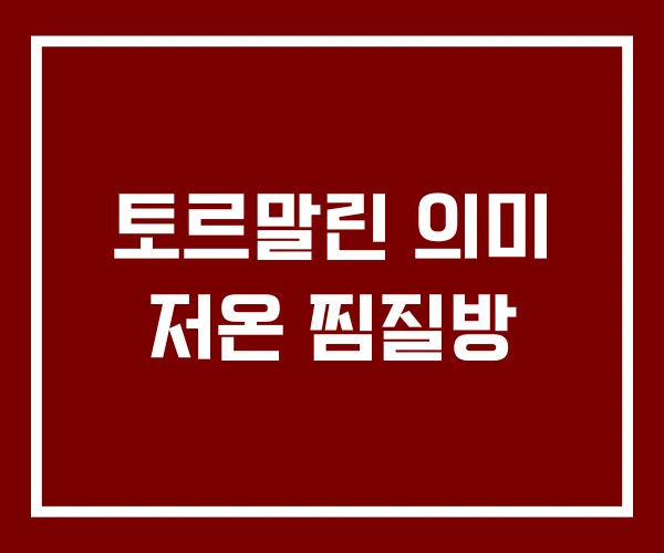 토르말린 의미 저온 찜질방