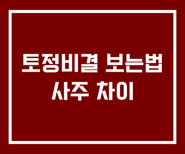 토정비결 보는법 사주 차이