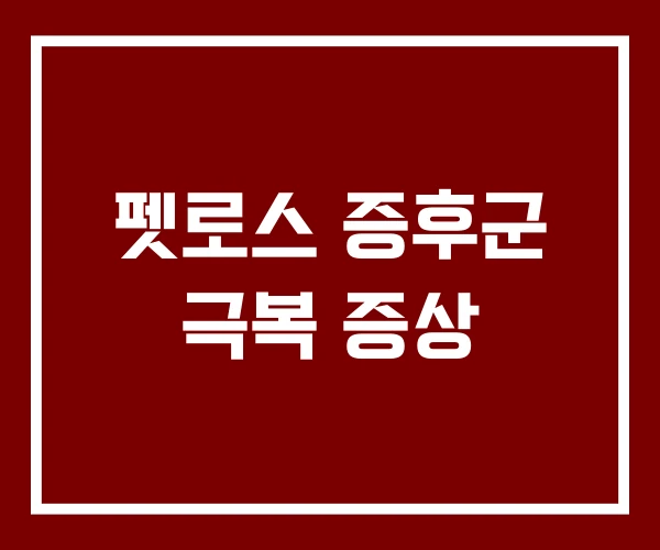 펫로스 증후군 극복 증상