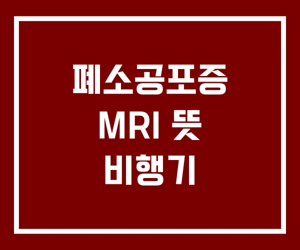 폐소공포증 MRI 뜻 비행기