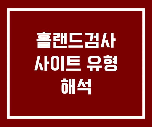 홀랜드검사 사이트 유형 해석