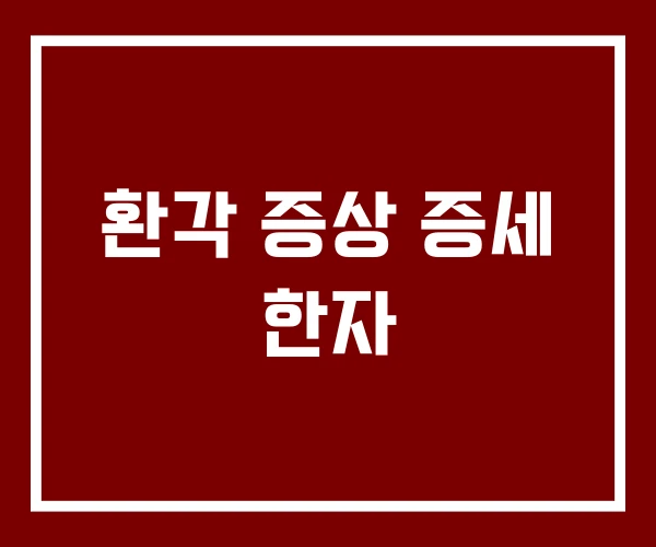 환각 증상 증세 한자