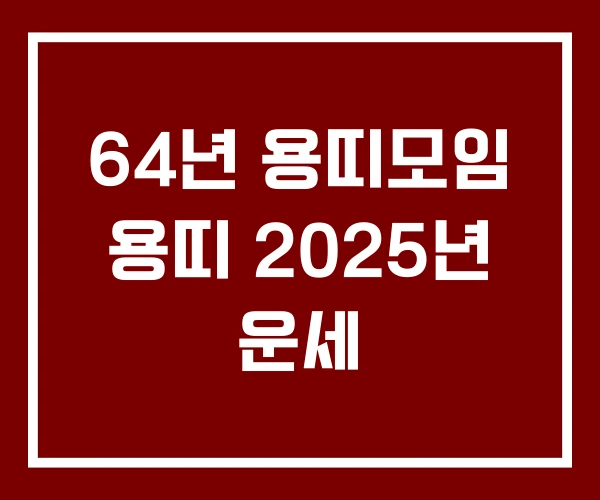 64년 용띠모임 용띠 2025년 운세