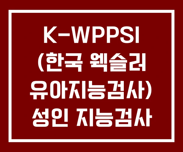 K-WPPSI (한국 웩슬러 유아지능검사) 성인 지능검사 검사