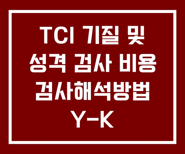 TCI 기질 및 성격 검사 비용 검사해석방법 Y-K