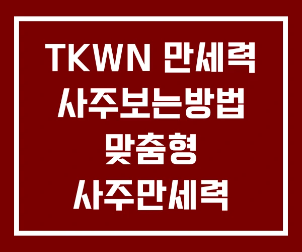 TKWN 만세력 사주보는방법 맞춤형 사주만세력