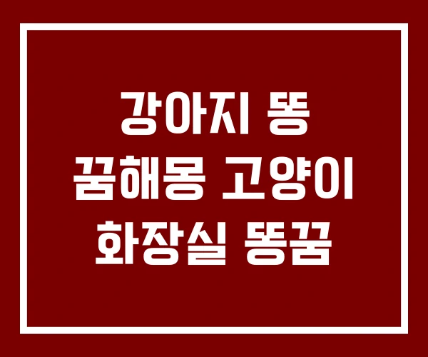 강아지 똥 꿈해몽 고양이 화장실 똥꿈