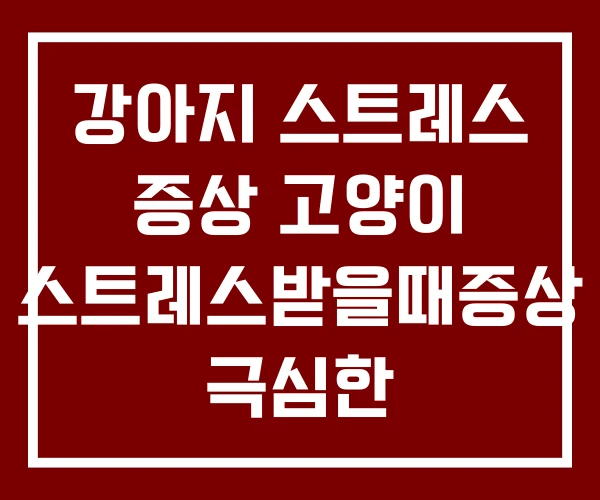 강아지 스트레스 증상 고양이 스트레스받을때증상 극심한