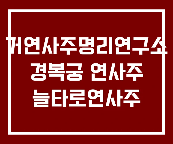 거연사주명리연구소 경복궁 연사주 늘타로연사주 거연사주명리연구소 경복궁 연사주 늘타로연사주