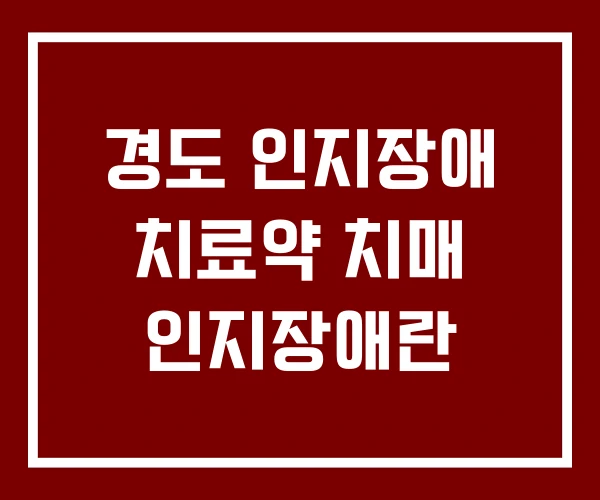 경도 인지장애 치료약 치매 인지장애란