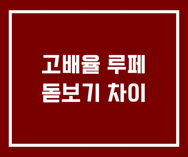 고배율 루페 돋보기 차이
