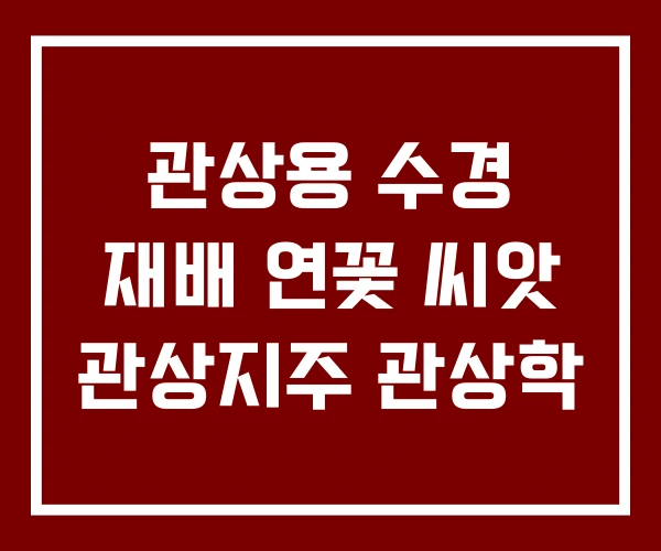 관상용 수경 재배 연꽃 씨앗 관상지주 관상학
