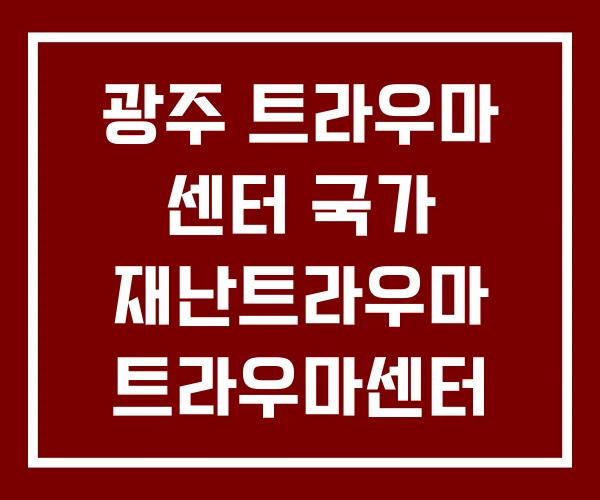 광주 트라우마 센터 국가 재난트라우마 트라우마센터