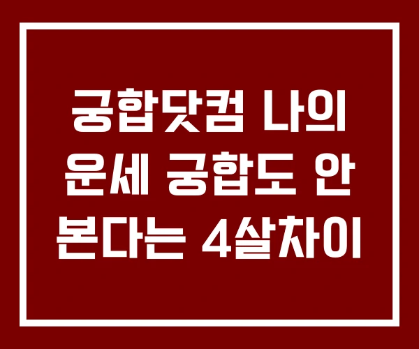궁합닷컴 나의 운세 궁합도 안 본다는 4살차이