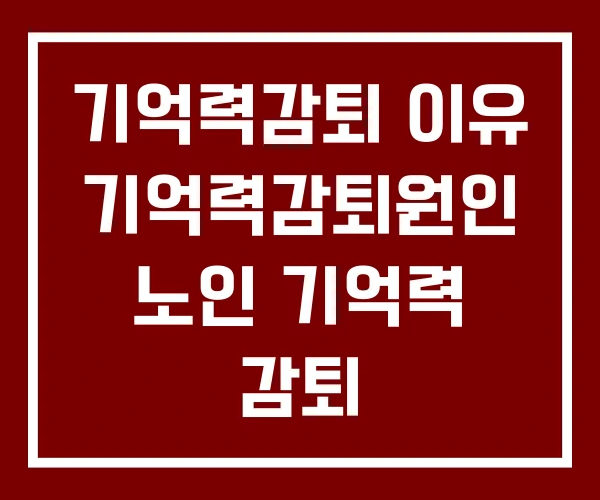 기억력감퇴 이유 기억력감퇴원인 노인 기억력 감퇴