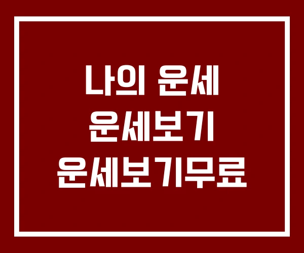 나의 운세 운세보기 운세보기무료