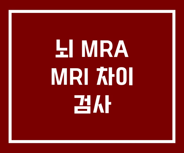 뇌 MRA MRI 차이 검사