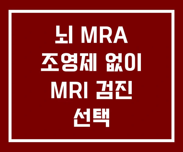 뇌 MRA 조영제 없이 MRI 검진 선택 뇌 MRA 조영제 없이 MRI 검진 선택