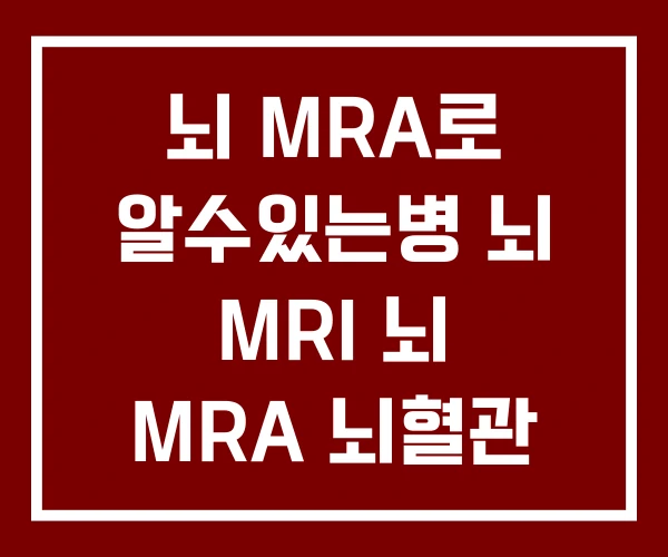 뇌 MRA로 알수있는병 뇌 MRI 뇌 MRA 뇌혈관 MRA MRI