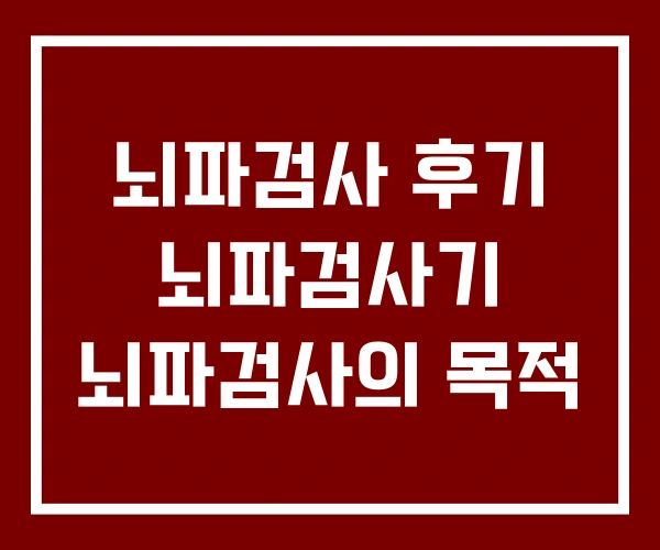 뇌파검사 후기 뇌파검사기 뇌파검사의 목적