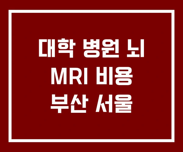 대학 병원 뇌 MRI 비용 부산 서울 대학 병원 뇌 MRI 비용 부산 서울