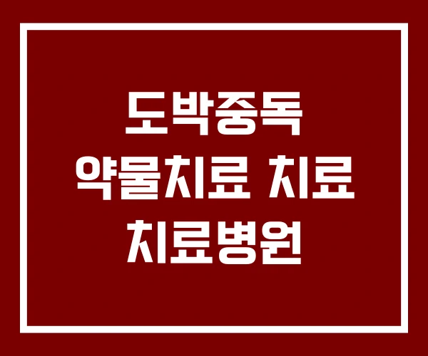 도박중독 약물치료 치료 치료병원