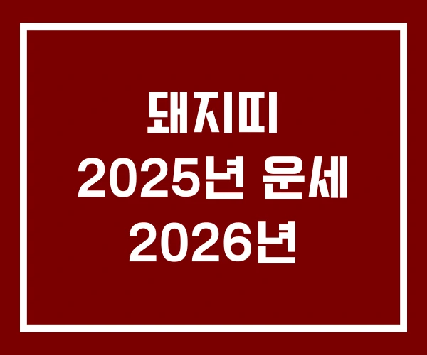 돼지띠 2025년 운세 2026년