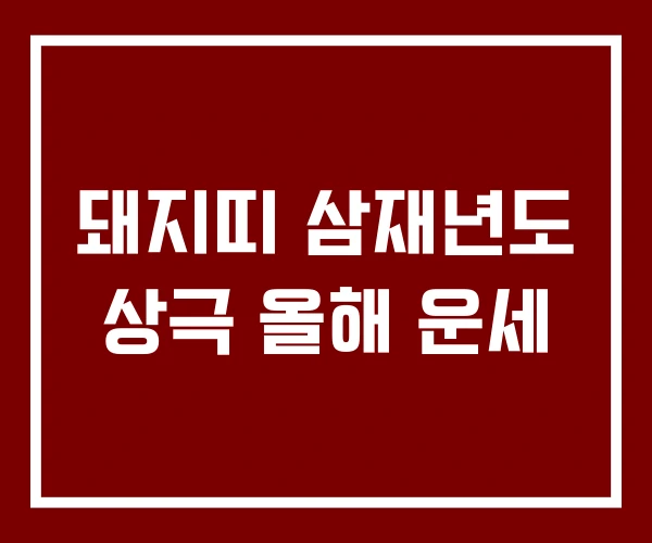 돼지띠 삼재년도 상극 올해 운세