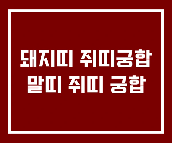돼지띠 쥐띠궁합 말띠 쥐띠 궁합
