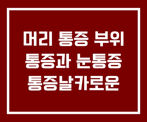 머리 통증 부위 통증과 눈통증 통증날카로운