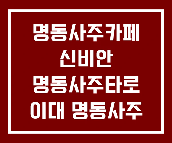 명동사주카페 신비안 명동사주타로 이대 명동사주 명동사주카페 신비안 명동사주타로 이대 명동사주