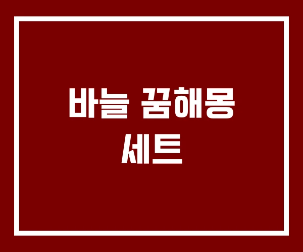 바늘 꿈해몽 세트