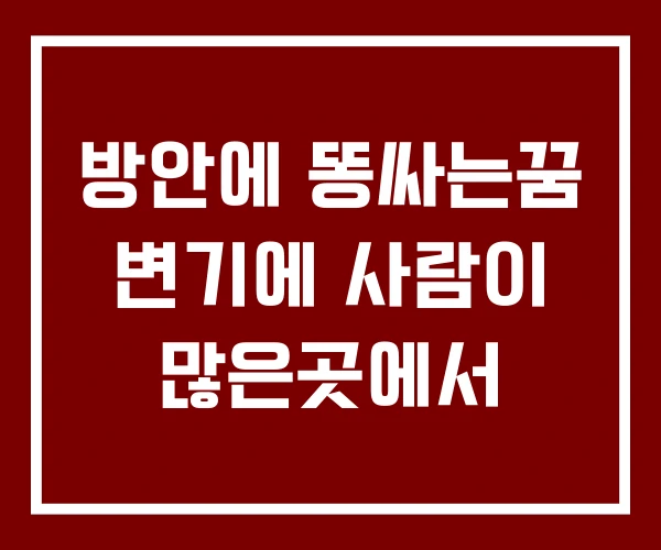 방안에 똥싸는꿈 변기에 사람이 많은곳에서 방안에 똥싸는꿈 변기에 사람이 많은곳에서