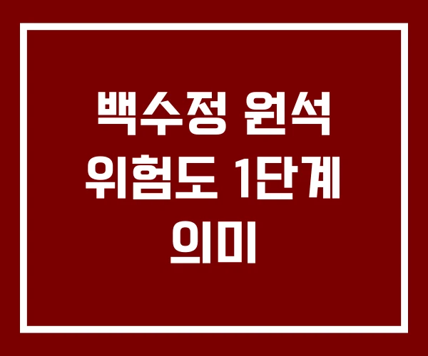 백수정 원석 위험도 1단계 의미