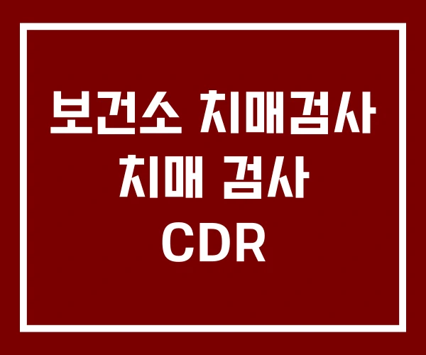 보건소 치매검사 치매 검사 CDR