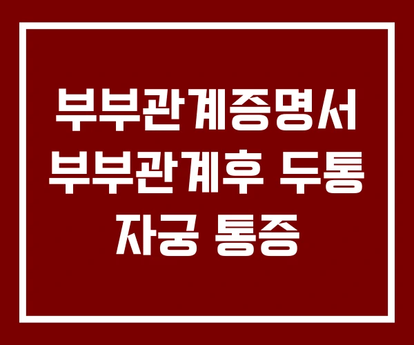 부부관계증명서 부부관계후 두통 자궁 통증