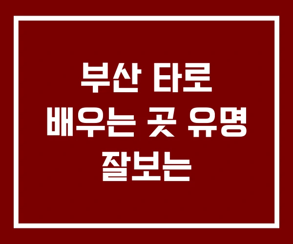 부산 타로 배우는 곳 유명 잘보는