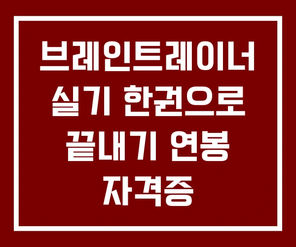 브레인트레이너 실기 한권으로 끝내기 연봉 자격증 브레인트레이너 실기 한권으로 끝내기 연봉 자격증