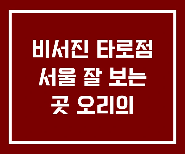 비서진 타로점 서울 잘 보는 곳 오리의