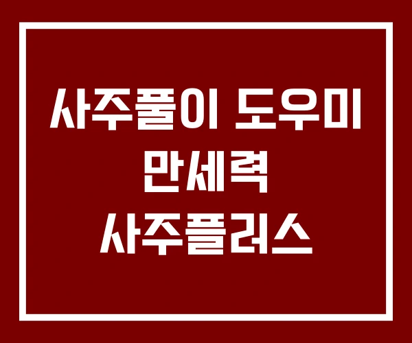 사주풀이 도우미 만세력 사주플러스